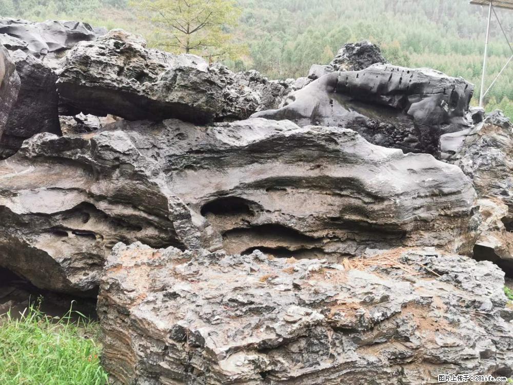 风景石、假山石大量有货，有需要的欢迎联系 - 新手上路 - 无锡生活社区 - 无锡28生活网 wx.28life.net