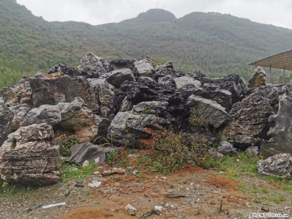 风景石、假山石大量有货，有需要的欢迎联系 - 新手上路 - 无锡生活社区 - 无锡28生活网 wx.28life.net