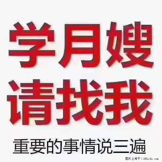 为什么要学习月嫂，育婴师？ - 其他广告 - 广告专区 - 无锡分类信息 - 无锡28生活网 wx.28life.net