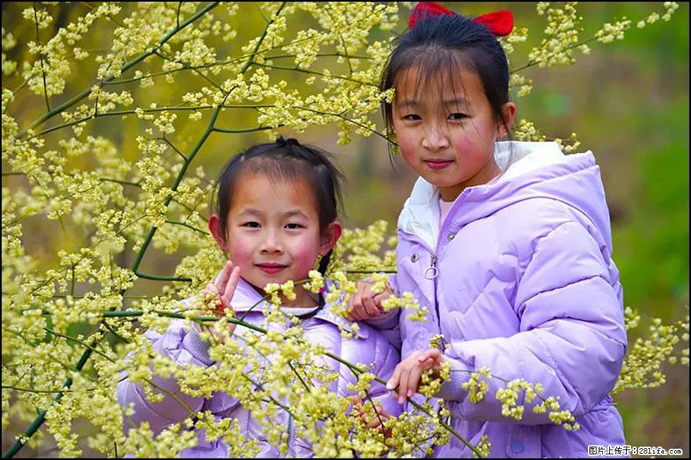 【春天，广西桂林灌阳县向您发出邀请！】米珠山前有片山苍子花在飘香 - 游山玩水 - 无锡生活社区 - 无锡28生活网 wx.28life.net