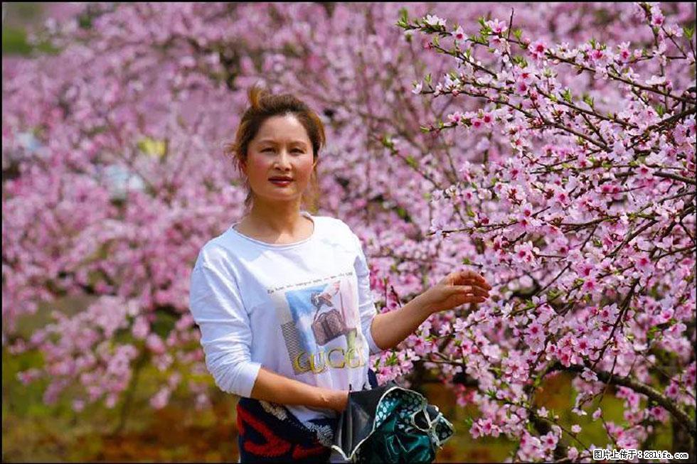 【春天，广西桂林灌阳县向您发出邀请！】官庄村有个醉美的桃花园 - 游山玩水 - 无锡生活社区 - 无锡28生活网 wx.28life.net