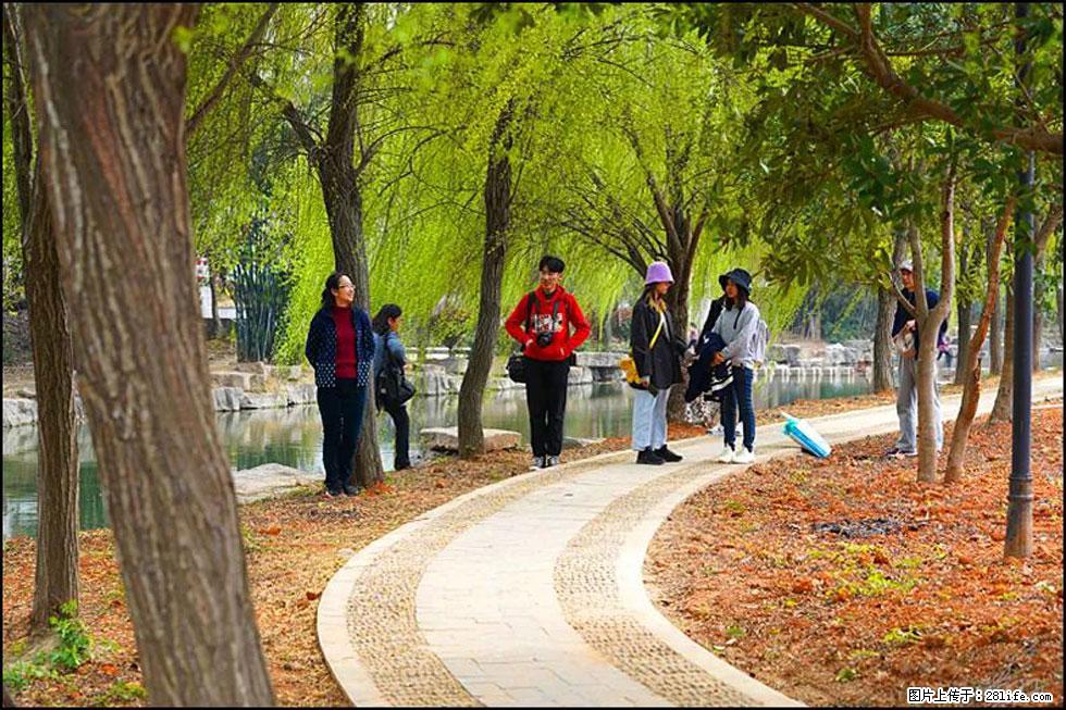【春天，广西桂林灌阳县向您发出邀请！】江口老街又逢春 - 游山玩水 - 无锡生活社区 - 无锡28生活网 wx.28life.net