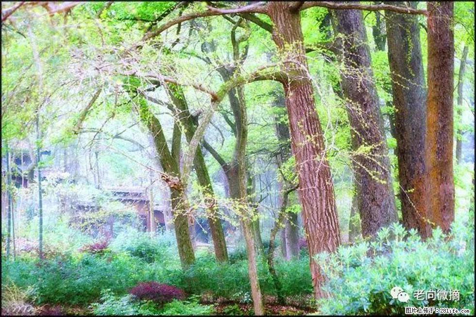 【春天，广西桂林灌阳县向您发出邀请！】在小龙村与春天约会 - 游山玩水 - 无锡生活社区 - 无锡28生活网 wx.28life.net
