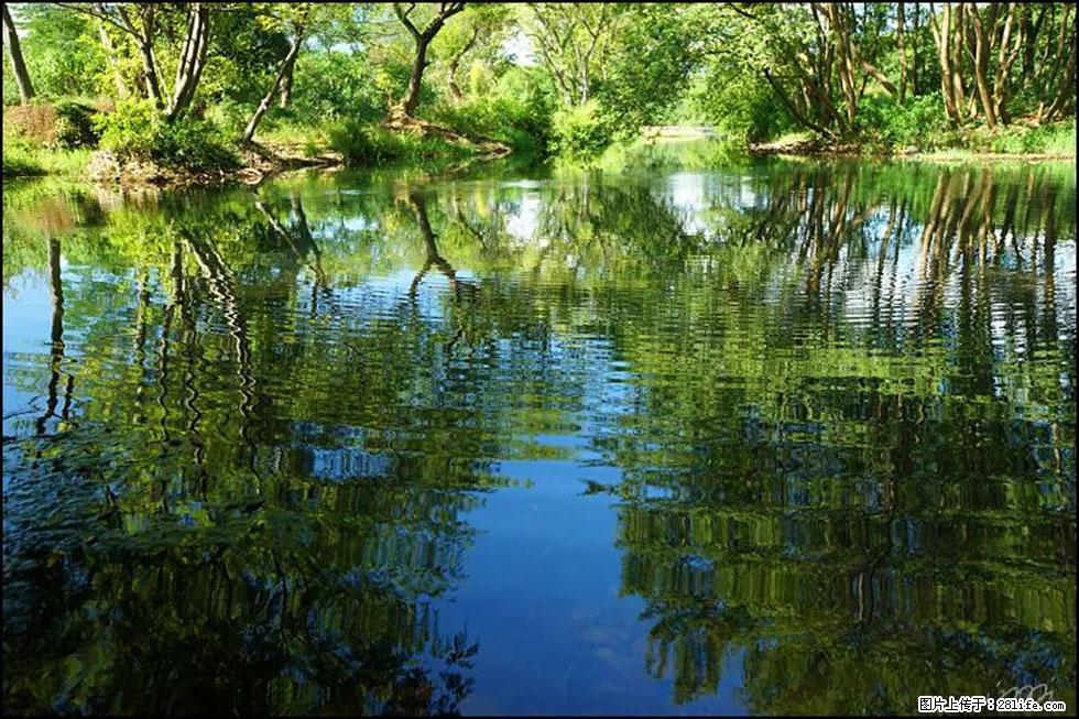 【春天，广西桂林灌阳县向您发出邀请！】熊家寨湿地公园 - 游山玩水 - 无锡生活社区 - 无锡28生活网 wx.28life.net
