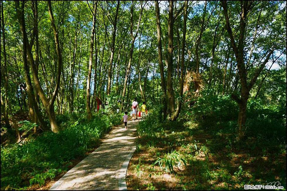 【春天，广西桂林灌阳县向您发出邀请！】熊家寨湿地公园 - 游山玩水 - 无锡生活社区 - 无锡28生活网 wx.28life.net