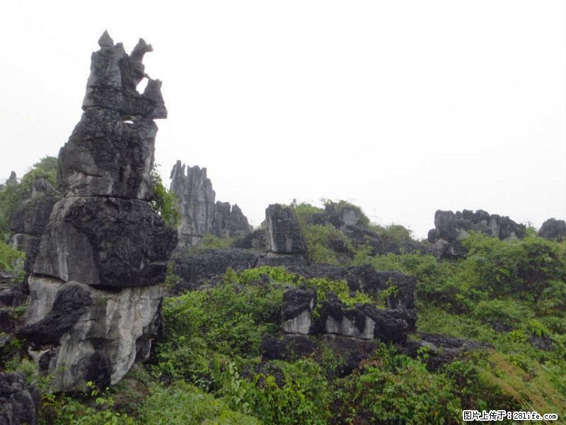 桂林旅游名城景点：灌阳文市石林 - 游山玩水 - 无锡生活社区 - 无锡28生活网 wx.28life.net