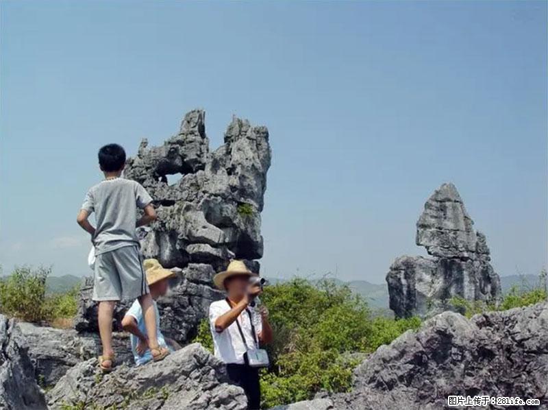 桂林旅游名城景点：灌阳文市石林 - 游山玩水 - 无锡生活社区 - 无锡28生活网 wx.28life.net