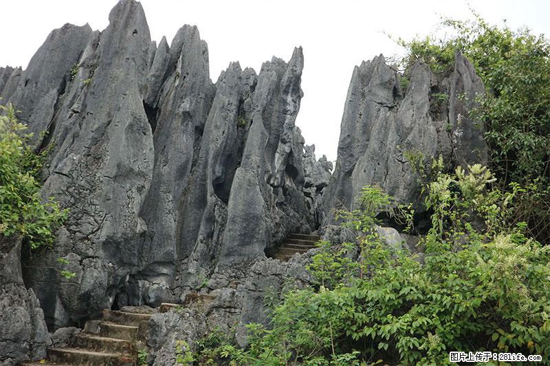 桂林旅游名城景点：灌阳文市石林 - 游山玩水 - 无锡生活社区 - 无锡28生活网 wx.28life.net