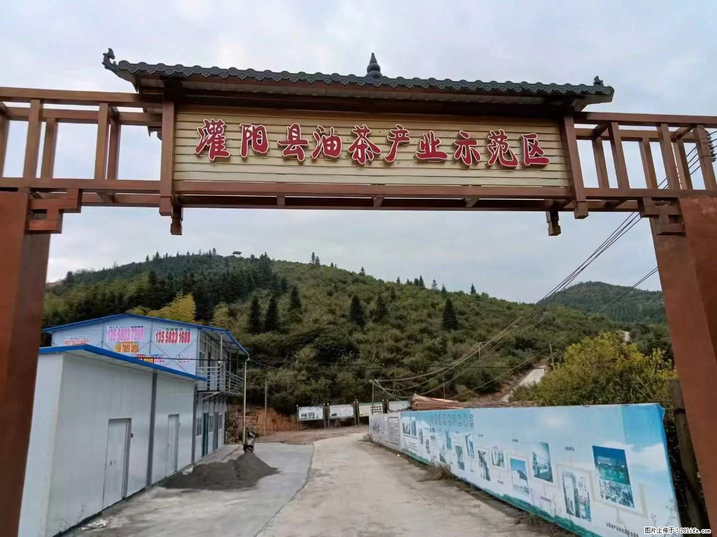 【灌阳县油茶产业示范区】一个有着充实的精神生活的人，对待身外之物自会有一种淡泊的态度 - 土特产 - 饮食特产 - 无锡分类信息 - 无锡28生活网 wx.28life.net