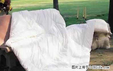 被子有异味？只要这样做，比晒太阳还强100倍！ - 家居生活 - 无锡生活社区 - 无锡28生活网 wx.28life.net