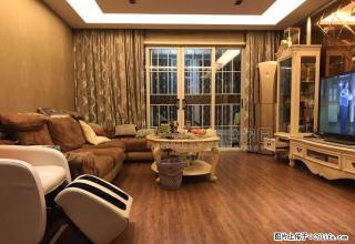 万科信成道 精装修两房 拎包入住 临近 万象城海岸城火速来电 - 无锡28生活网 wx.28life.net