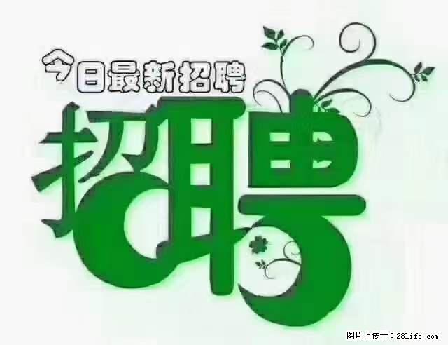 【招聘摄像师】待遇：试用期6000元/月，转正7000元/月+五险一金+餐补+节日福利+奖金 - 职场交流 - 无锡生活社区 - 无锡28生活网 wx.28life.net