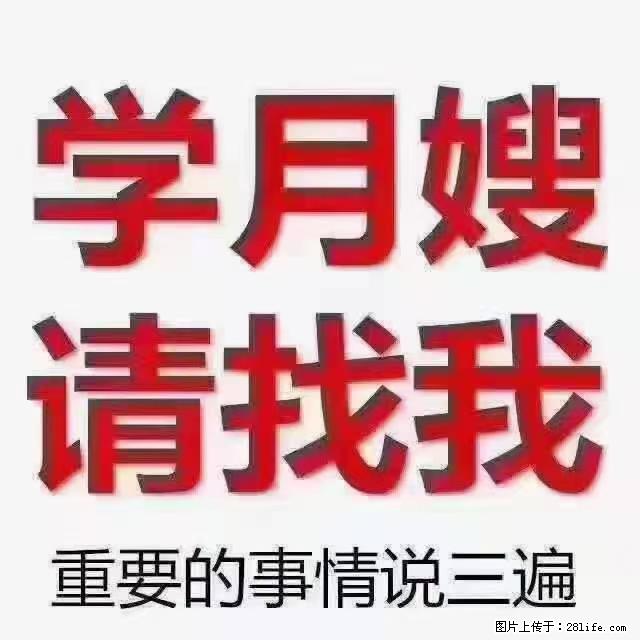 【招聘】月嫂，上海徐汇区 - 职场交流 - 无锡生活社区 - 无锡28生活网 wx.28life.net