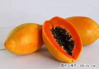 晕车、脚气、牙齿变黄、皮肤粗糙？学会这些三分钟搞定！ - 无锡生活资讯 - 无锡28生活网 wx.28life.net
