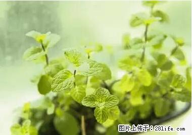 晕车、脚气、牙齿变黄、皮肤粗糙？学会这些三分钟搞定！ - 无锡生活资讯 - 无锡28生活网 wx.28life.net