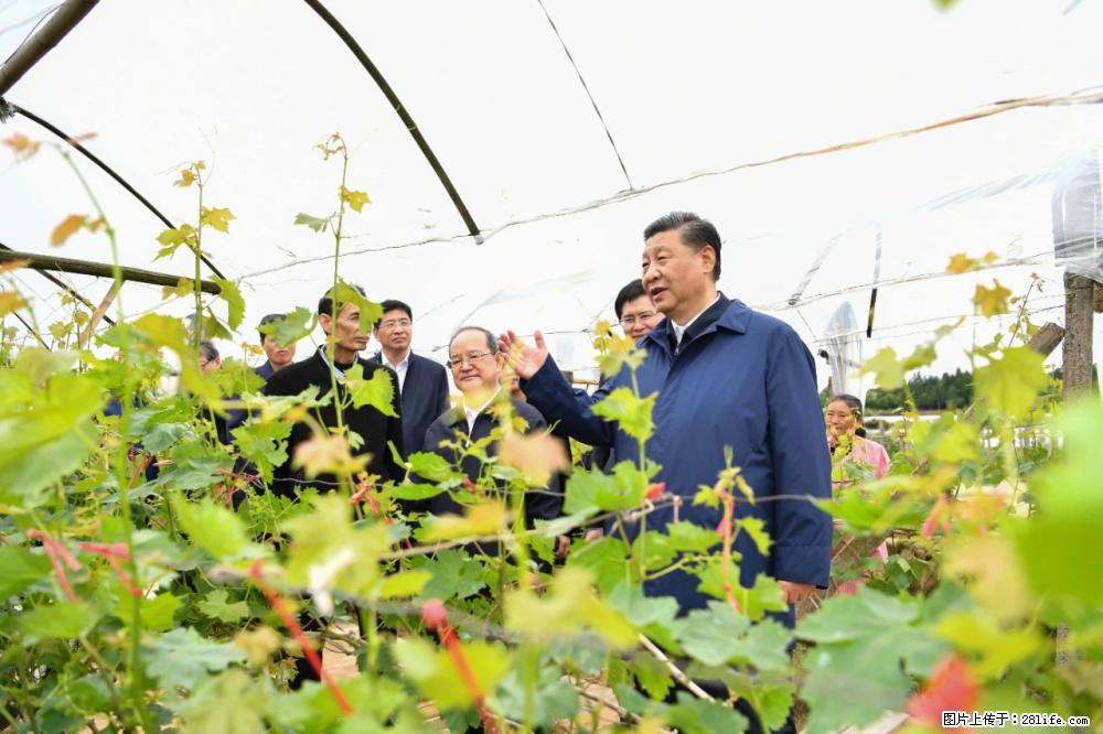 习近平赴广西考察调研 - 无锡生活资讯 - 无锡28生活网 wx.28life.net