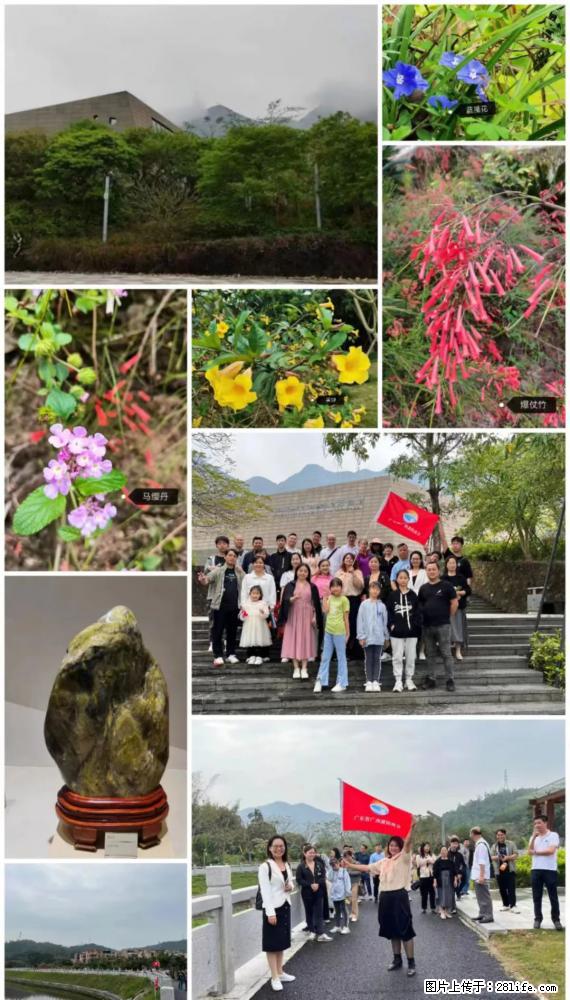 “粤灌文化 美好生活”油茶文化主题活动在广东深圳成功举办 - 无锡生活资讯 - 无锡28生活网 wx.28life.net
