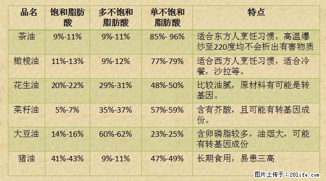 揭秘茶油的5大核心营养成分！被称为人体健康的“守护盾”！ - 无锡生活资讯 - 无锡28生活网 wx.28life.net