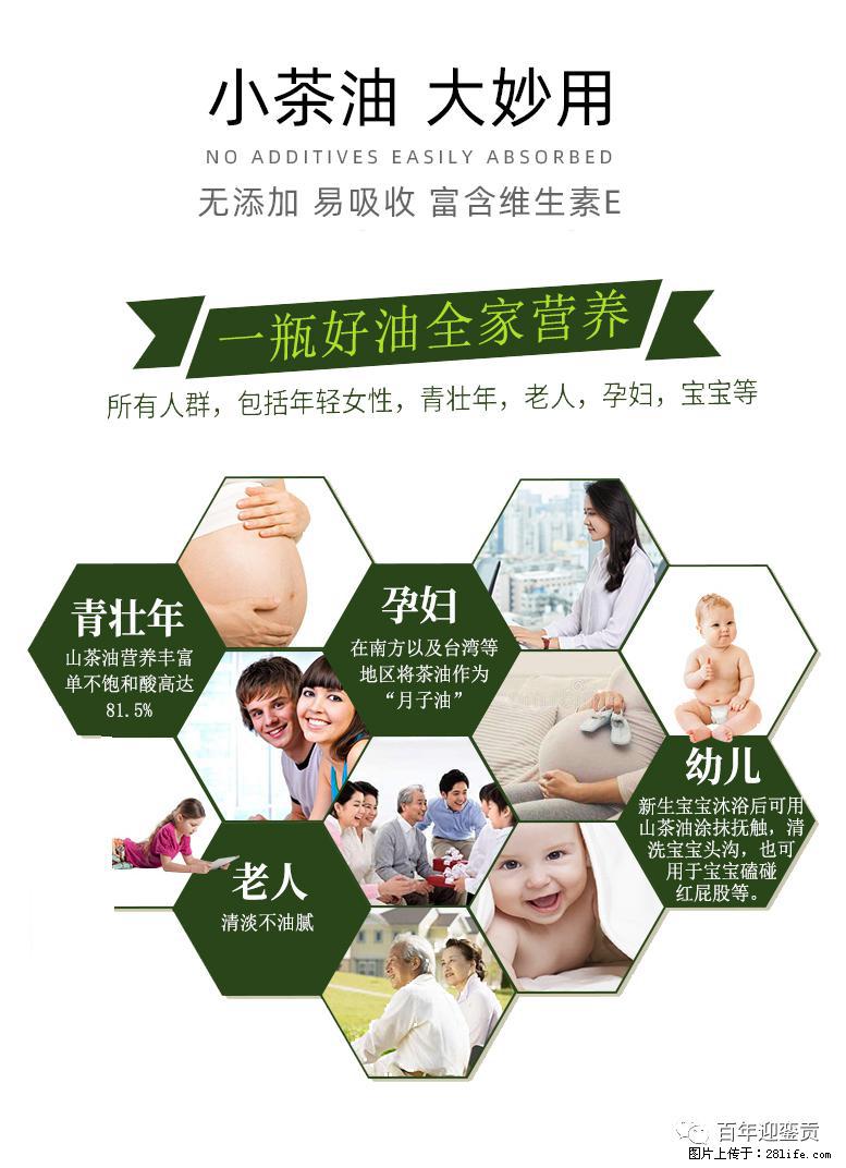 世界没有真相，只有认知，最好的食用油是中国的山茶油！ - 无锡生活资讯 - 无锡28生活网 wx.28life.net