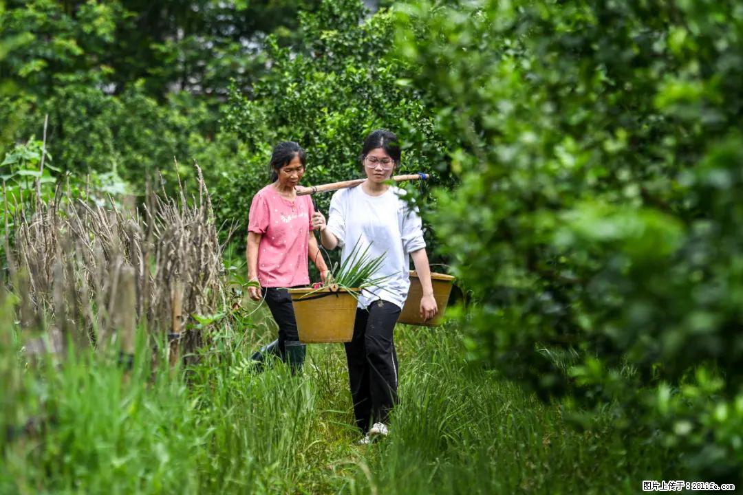 全网追的“扁担女孩”，找了一份暑假工，时薪12元 - 无锡生活资讯 - 无锡28生活网 wx.28life.net