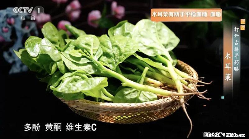比牛奶补钙还厉害！凉血解毒、稳血糖...这菜冬天必吃，很多人却当草 - 无锡生活资讯 - 无锡28生活网 wx.28life.net